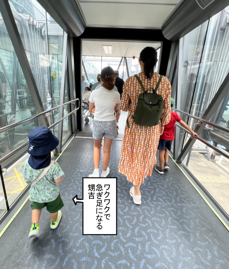 まめきち様専用 けみくろ構築 アマテラスループ デュエルマスターズ