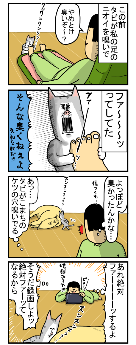 臭い物を嗅いだネコの腹立つ顔 : まめきちまめこニートの日常 Powered