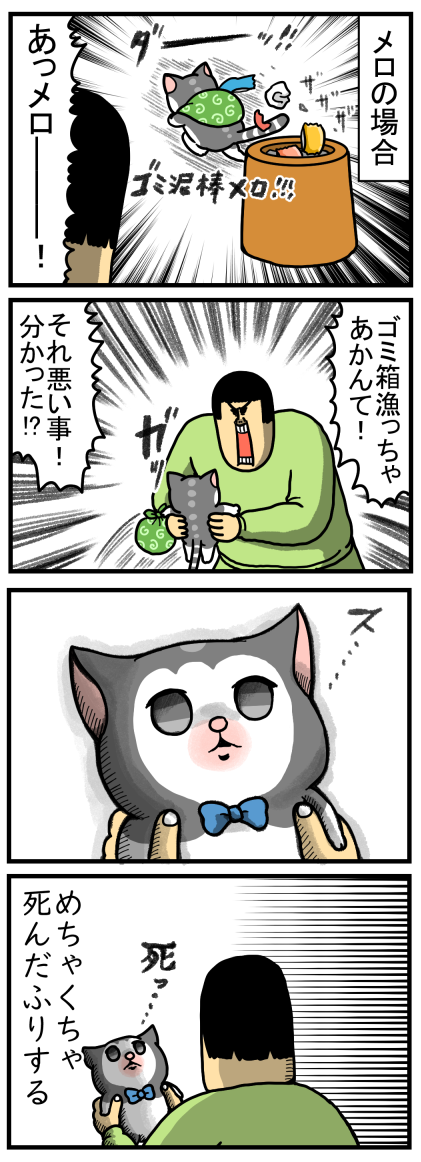 猫の怒り方にはそれぞれ個性がある まめきちまめこニートの日常 Powered By ライブドアブログ