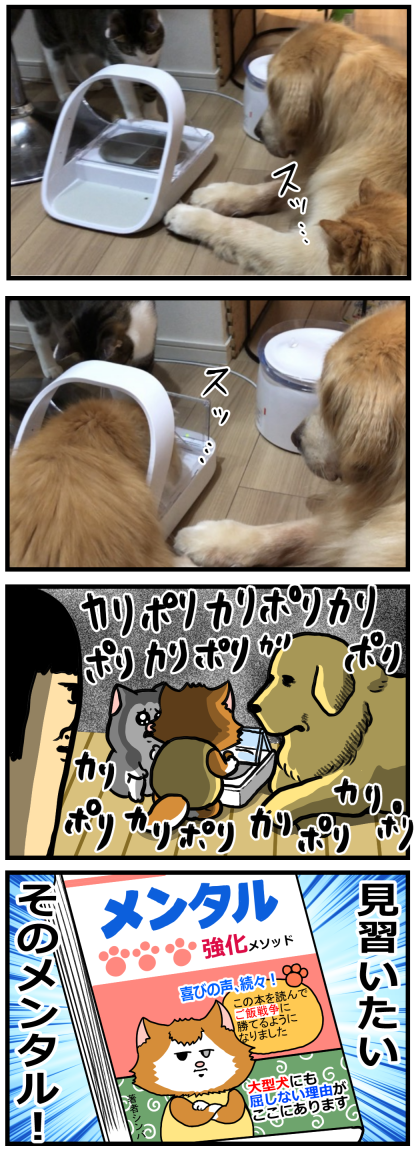 エサ入れ機を床に置いておくと現れる守護神 : まめきちまめこニートの