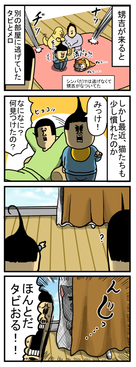 我が家のチャレンジミッケ「縞模様のねこを探して!」 : まめ 我が家のチャレンジミッケ「縞模様のねこを探して!」 : まめ