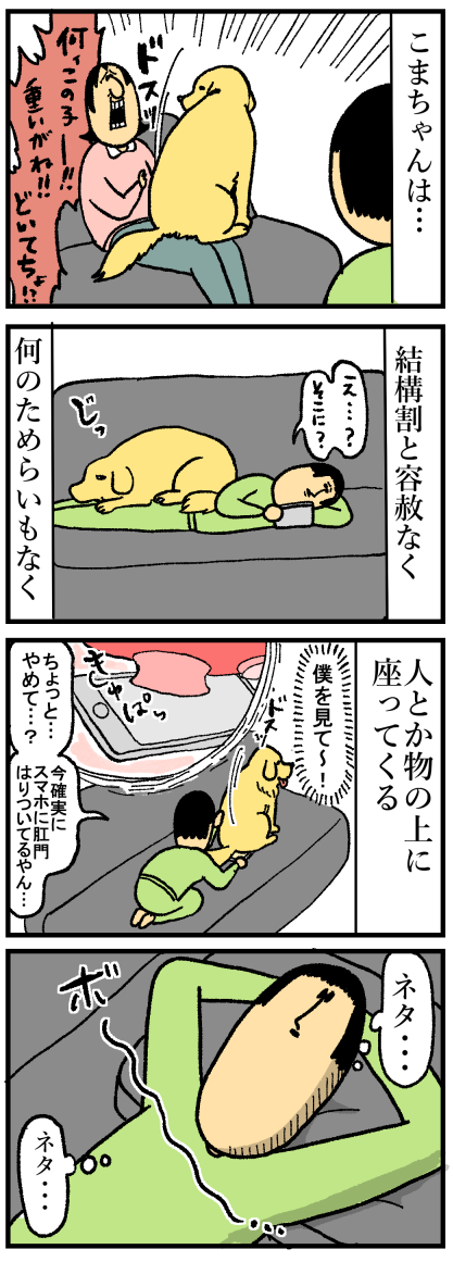 僕がこの世で一番偉いはずやからぁ～！ : まめきちまめこニート