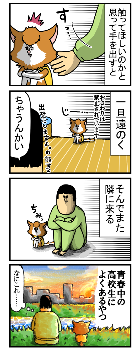 最近シンバがハマってる謎の青春タイム まめきちまめこニートの日常 Powered By ライブドアブログ