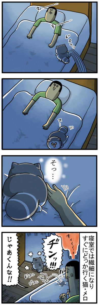 寝室では急に性格真逆になる猫たち : まめきちまめこニートの日常