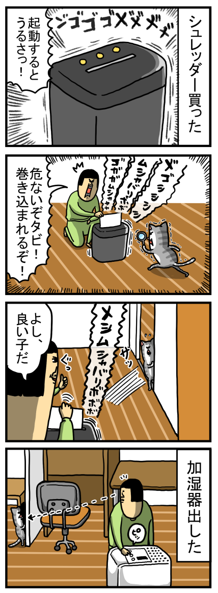 だいぶ人間の言葉に理解ある猫 : まめきちまめこニートの日常 Powered