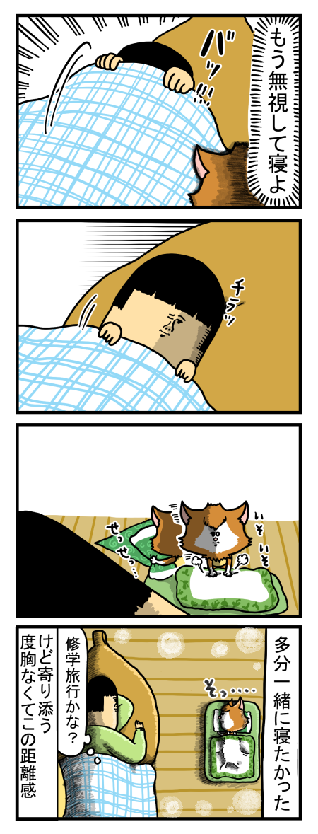 シンバはあまり要求してこないので分かりにくい まめきちまめこニートの日常 Powered By ライブドアブログ