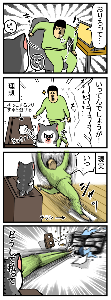 まめこページ ありえない仕打ち #絵日記