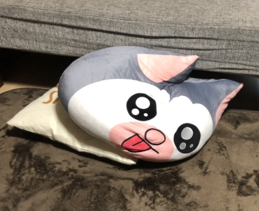 巨大なメロとまめこのクッション貰ったけど辛い : まめきちまめ