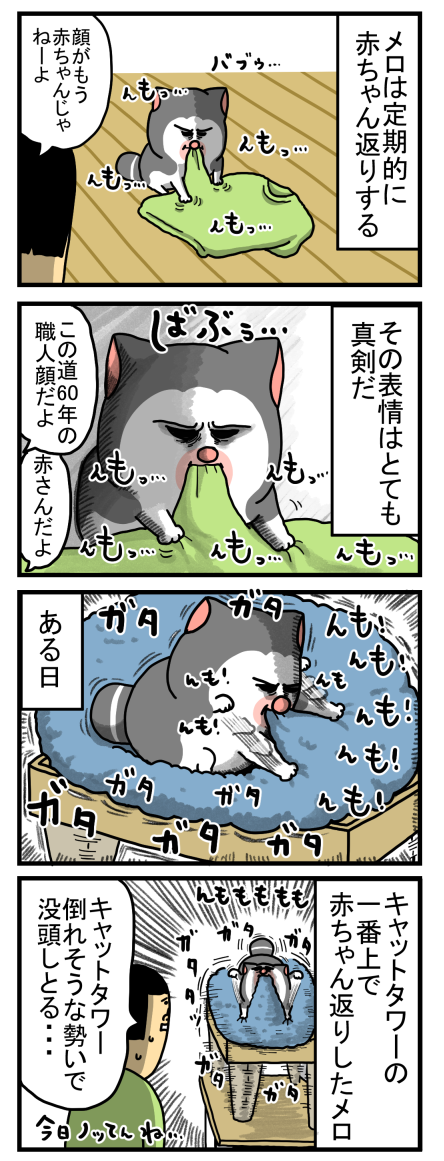 まめちゃんページ♡ しらまめ (@Shira_mame93) / Posts / X