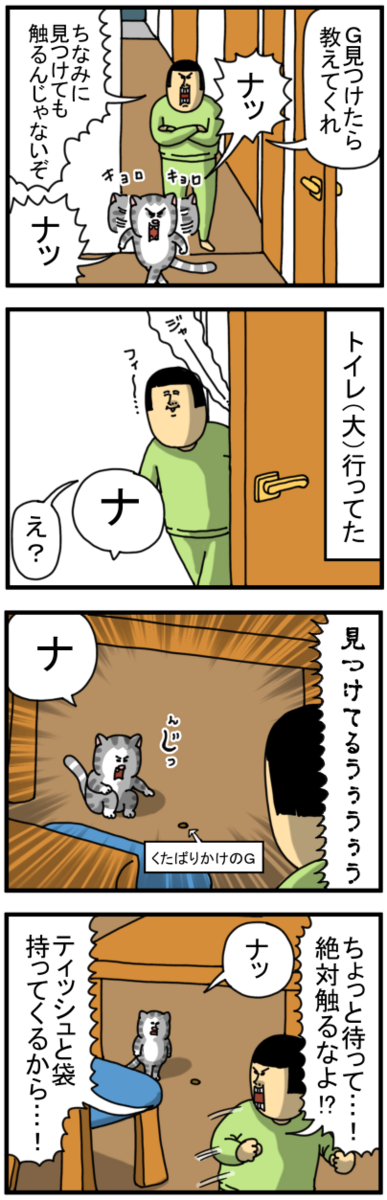 ずっと私の相棒 : まめきちまめこニートの日常 Powered by ライブドア