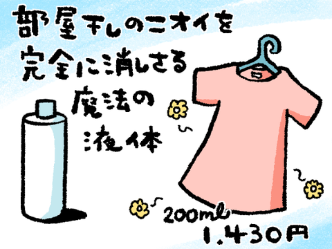 まめこ 夏のシャトレーゼといえばコレ (これ4年前くらいの記事だから