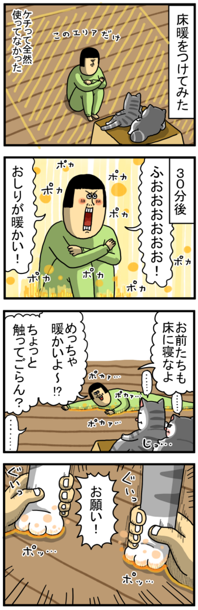 寒い奥の部屋でじっくり考えたんだろうな : まめきちまめこニートの