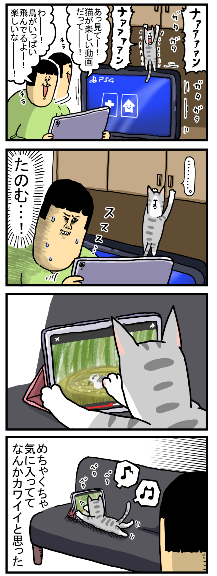 複雑なふりして単純なヤツ : まめきちまめこニートの日常