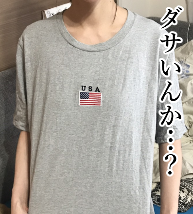 中条あやみが着たら9千円くらいに見えるTシャツ : まめきちまめ