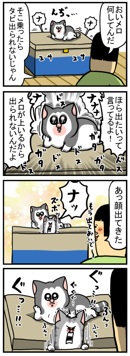 全種 3点 まめきちまめこ クッション メロ タビ シンバ コマチ