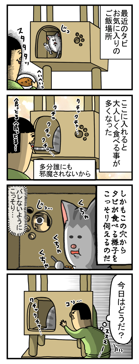 世にも恐ろしい話】ニーチェな猫 : まめきちまめこニートの日常