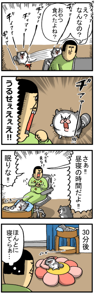 猫には心から熟睡してほしいのにすぐ不安になる : まめきちまめこ