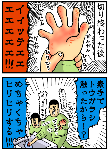 2019年オススメだった記事12選 : まめきちまめこニートの
