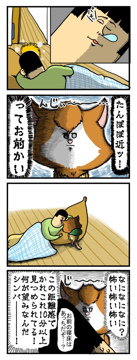 シンバはあまり要求してこないので分かりにくい まめきちまめこニートの日常 Powered By ライブドアブログ