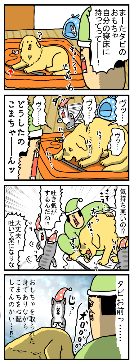 犬の注意がそれるタイミングを完璧に把握している猫 まめきちまめこニートの日常 Powered By ライブドアブログ