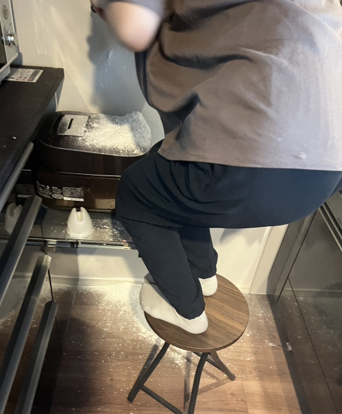 まめこ たまにホンモノくるのやめろ : まめきちまめこニートの日常