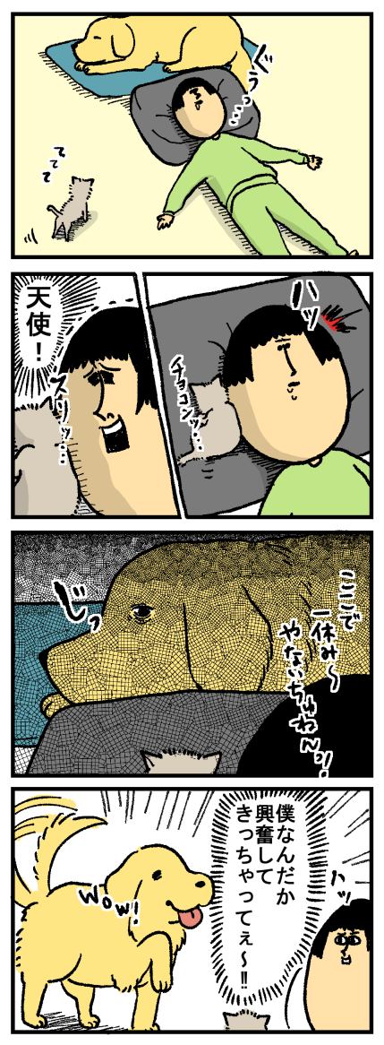 昼下がりのまめきち家 : まめきちまめこニートの日常 Powered by