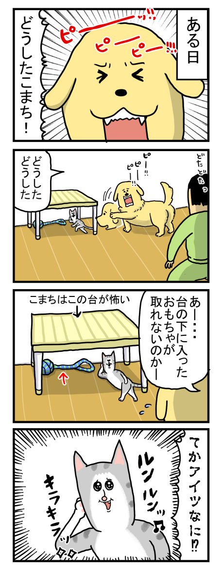 強く賢くたくましく成長する猫 : まめきちまめこニートの日常 Powered