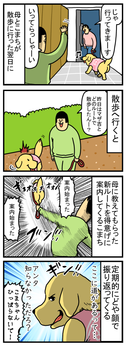 犬って他の人と行った散歩ルートどや顔で紹介しがち まめきちまめこニートの日常 Powered By ライブドアブログ