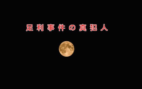 未解決事件 冤罪の足利事件 真犯人は藤田 ルパン じゃないのか ザ ミステリー体験