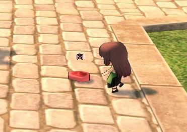 ティルコネイルミニドール選択ボックス ﾟdﾟ マナビノギ