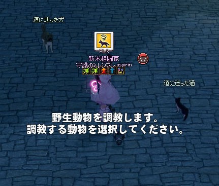 道に迷った猫を連れてくる マナビノギ