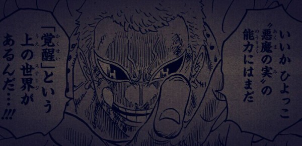 ワンピース 悪魔の実には 覚醒 という上の世界があることが判明 まんふら