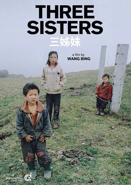 三姉妹～雲南の子('12仏/香港)王兵 Amazon.co.jp: 三姉妹 ~雲南の子 [DVD] : ワン・ビン: DVD