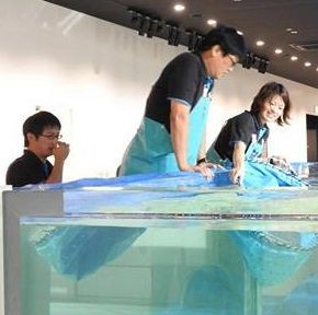 新感覚の水族館 nifrel ニフレル expocity ニフレル飼育員 海遊館の棚田さんに密着取材 キャスト 朝日放送 15年10月19日放送内容 サメ シャチ好き集まれ情報局 新感覚の水族館 nifrel ニフレル expocity ニフレル飼育員 海遊館の棚田さんに密着取材 キャスト 朝日放送 15年10月19日放送内容 サメ シャチ好き集まれ情報局