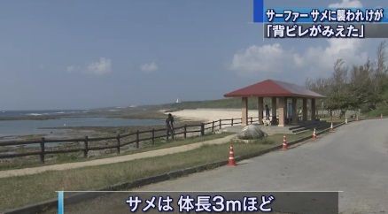 サメの歯形 シャークアタック 沖縄 スーサイド 米須海岸 15年10月26日 サメ シャチ好き集まれ情報局