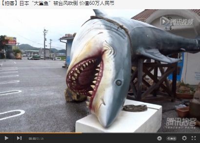 続報 高知のサメ ついに中国から出演のオファーが来たらしい サメ シャチ好き集まれ情報局