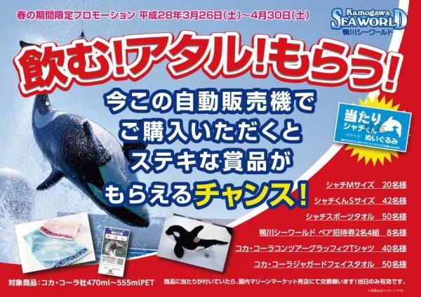 自販機で当たりが出たら シャチのぬいぐるみなど貰える企画 16年4月30日まで 鴨川シーワールド サメ シャチ好き集まれ情報局