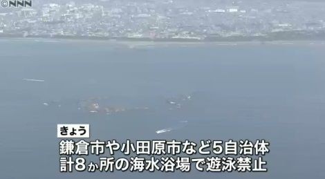 サメ確認受け 神奈川9海水浴場で遊泳禁止 Nnn 15 08 15 21時45分 サメ シャチ好き集まれ情報局