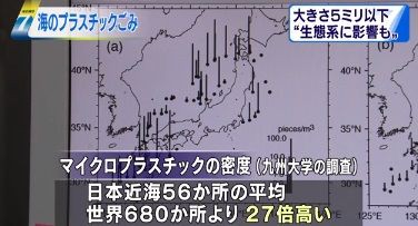 サメ シャチ好き集まれ情報局