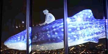 海遊館の巨大なジンベエザメの背中に乗った少年の映像 日本一高いビル あべのハルカス 展望台 プロジェクションマッピング 15年11月25日 16年3月6日まで Ideanews サメ シャチ好き集まれ情報局 海遊館の巨大なジンベエザメの背中に乗った少年の映像 日本一高いビル あべのハルカス 展望台 プロジェクションマッピング 15年11月25日 16年3月6日まで Ideanews サメ シャチ好き集まれ情報局