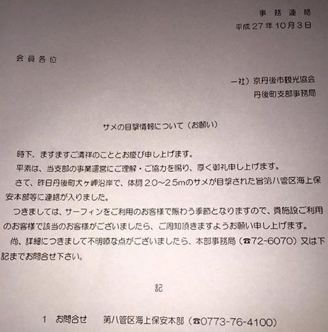 京丹後 丹後町犬ヶ岬沿岸 体長２ ２ ５メートルのサメ目撃 サメ シャチ好き集まれ情報局