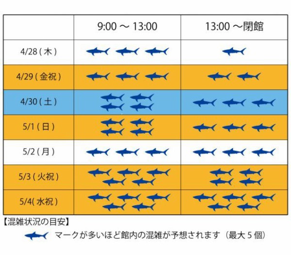 混雑の目安をサメで表現が評判 他 16年gwイベント案内 アクアワールド茨城県大洗水族館 サメ シャチ好き集まれ情報局