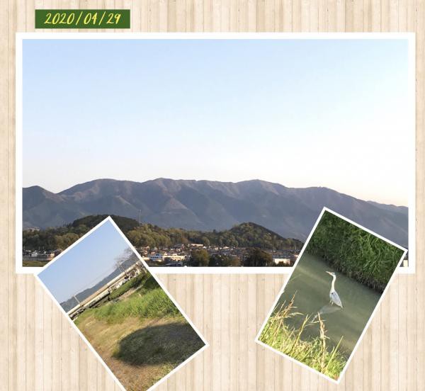 4月29日 自粛要請の街は火が消えたようです 花山椒を佃煮にしました 夕食 鶏胸肉と野菜の煮物 ジャコテンと蒟蒻炒め煮 キュウリの酢の物 花山椒の佃煮 雨の日も晴れの日も ごはん日記