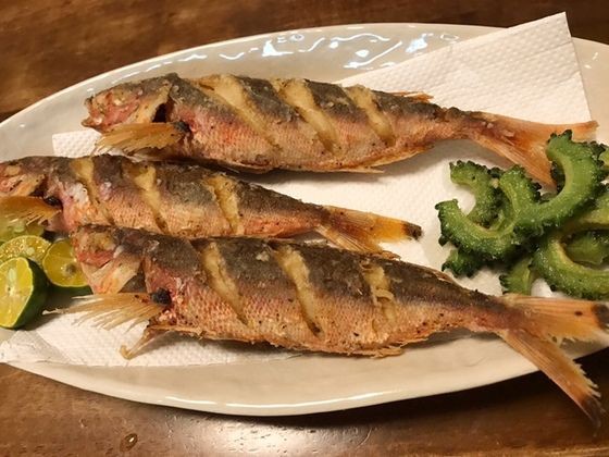 グルクンアカジン 魚喰い