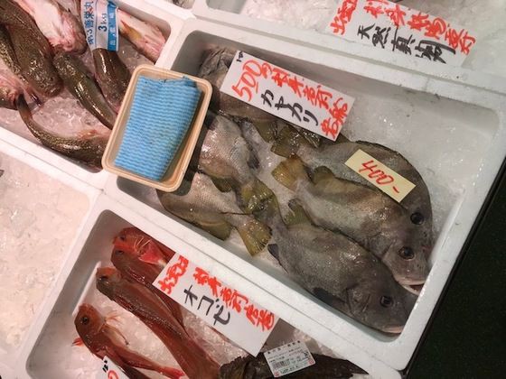 ヒゲダラのアラの水炊き 魚喰い