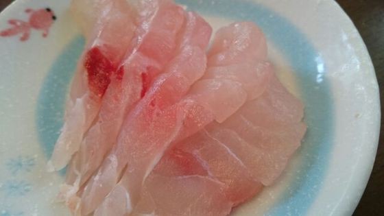 沖縄三大高級魚 アカマチ 魚喰い