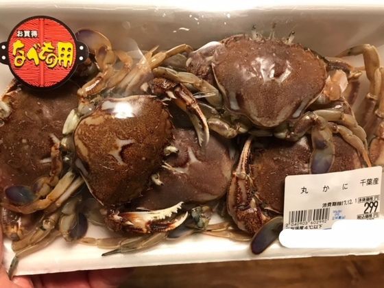 エッチなカニ 魚喰い