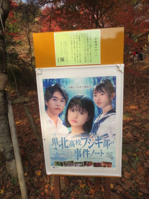 care!!花貫渓谷ペグマタイト他 ベースアップ 敷くだけタイル 磁器 ベージュ /A(ベージュ): デッキ