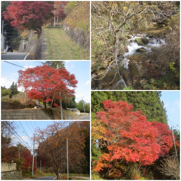 care!!花貫渓谷ペグマタイト他 花貫渓谷＆土岳 ハイキング : 旅と山登りを楽しむ