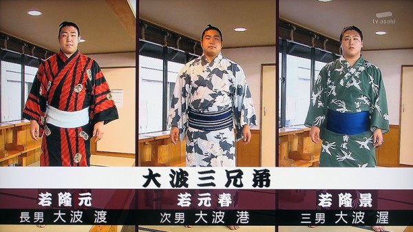 タ 荒汐部屋でまさかの猫写真集まさかの3社かぶり チミンモラスイ